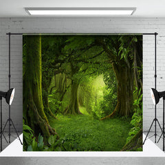 Aperturee - Aperturee Green Natural Forest Landscape Room Set Backdrop