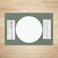 Aperturee - Vintage Light Green Simple Dinner Set Of 4 Placemats