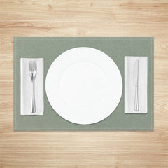 Aperturee - Light Green Minimalist Modern Set Of 4 Placemats