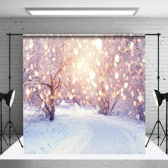 Aperturee - Aperturee Winter Heavy Snowy Light Bokeh Room Set Backdrop