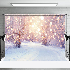 Aperturee - Aperturee Winter Heavy Snowy Light Bokeh Room Set Backdrop