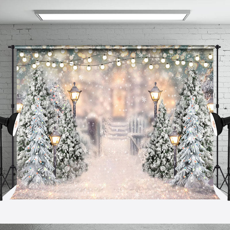 Aperturee - Aperturee Winter Light Bokeh Snowy Garden Room Set Backdrop