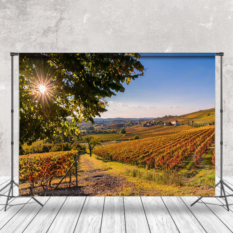 Aperturee - Outdoor Vineyard Autumn Natural Scenery Backdrop