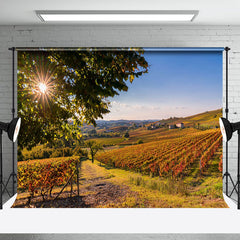 Aperturee - Outdoor Vineyard Autumn Natural Scenery Backdrop