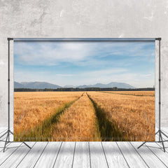 Aperturee - Golden Wheat Field Blue Sky Outdoor Beautiful Backdrop