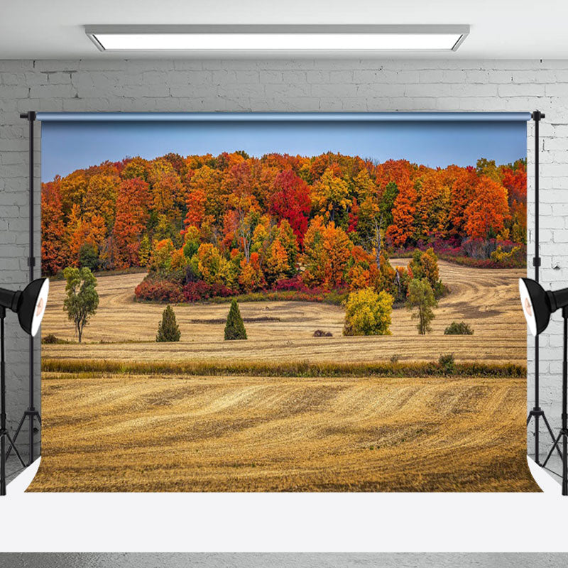 Aperturee - Autumn Forest Colorful Natural Landscape Backdrop