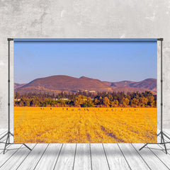 Aperturee - Wheat Field After Harvest With Blue Sky Backdrop