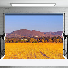 Aperturee - Wheat Field After Harvest With Blue Sky Backdrop