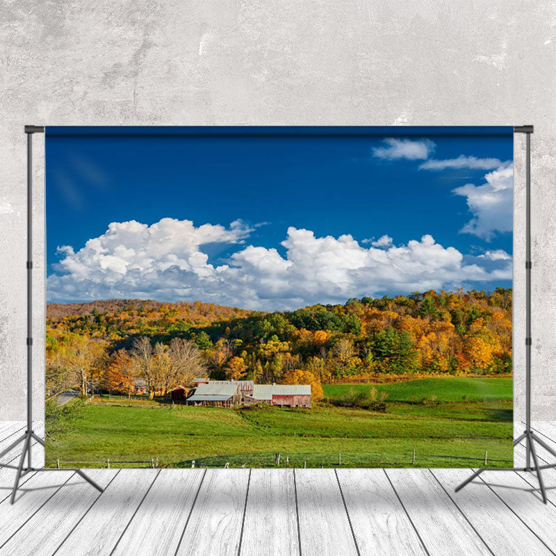 Aperturee - Autumn Colorful Woods Under Blue Sky Photo Backdrop