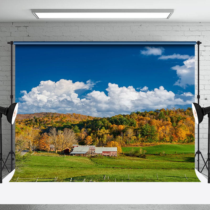 Aperturee - Autumn Colorful Woods Under Blue Sky Photo Backdrop