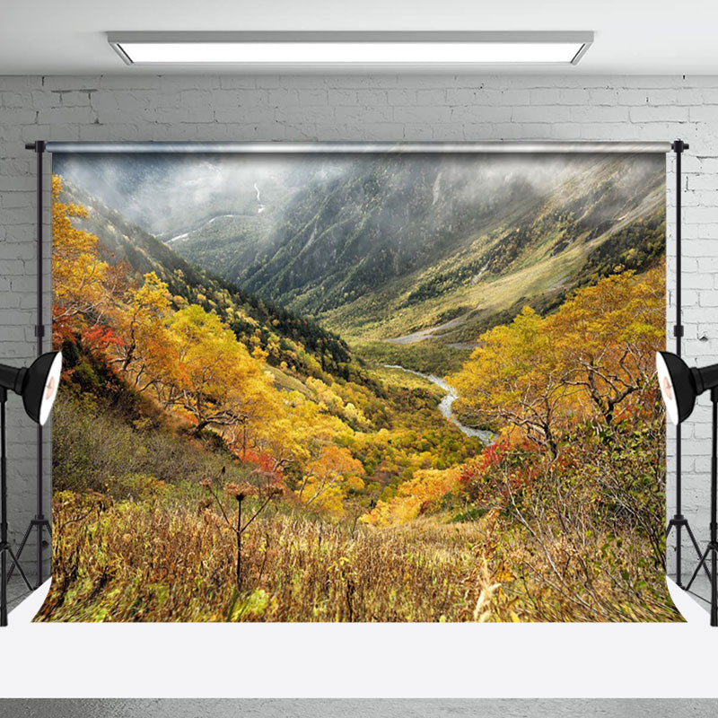 Aperturee - Colorful Autumn Valley Shrouded In Mist Backdrop