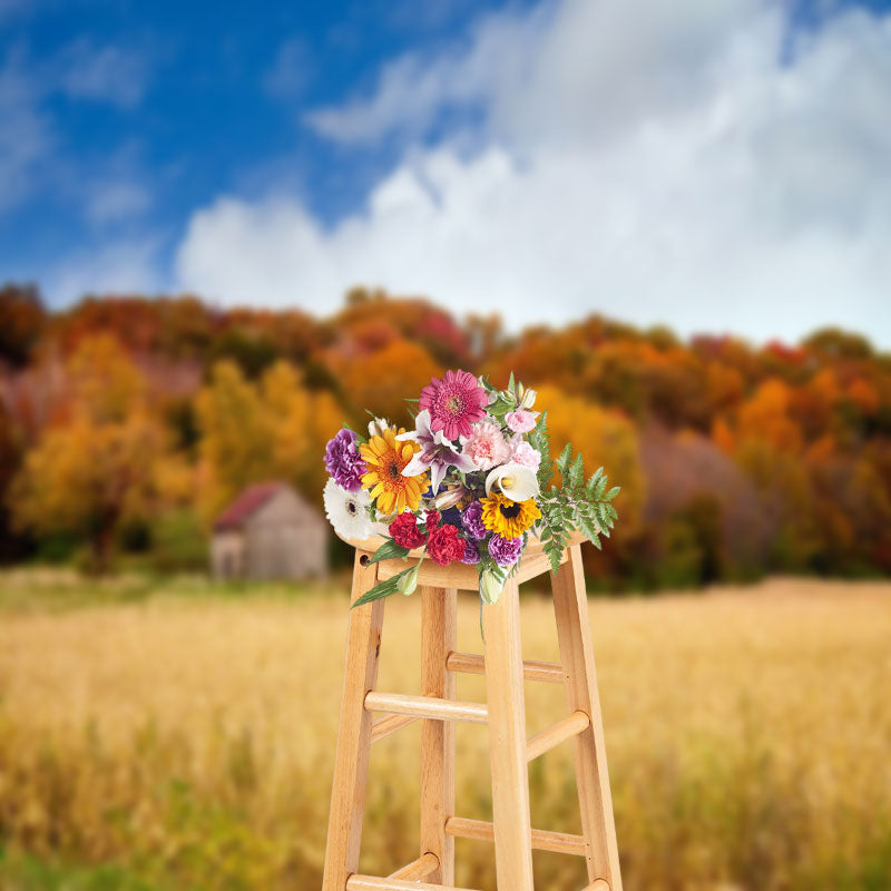 Aperturee - Sunny Day Valley Woods Autumn Photography Backdrop