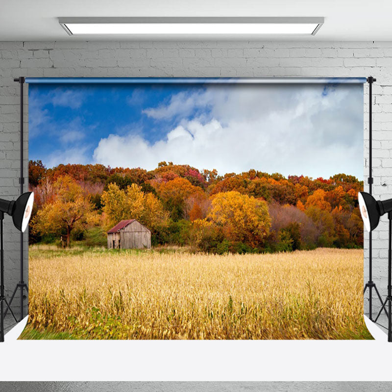 Aperturee - Sunny Day Valley Woods Autumn Photography Backdrop