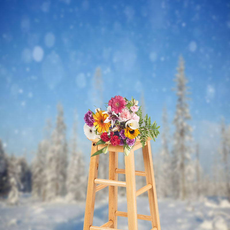 Aperturee - Pine Forest In Snow And Blue Sky Photography Backdrop