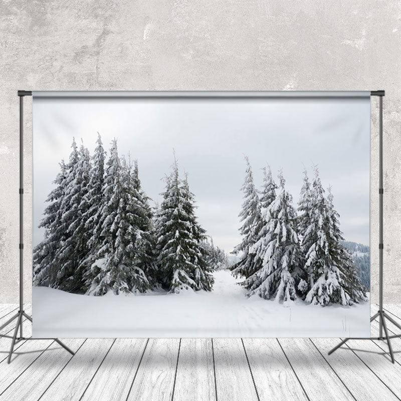 Aperturee - Pine Trees Covered With Snow Photography Backdrop