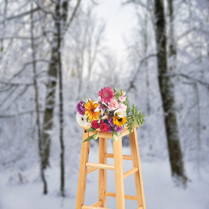 Aperturee - White Forest Snow Natural Scenery Photo Backdrop