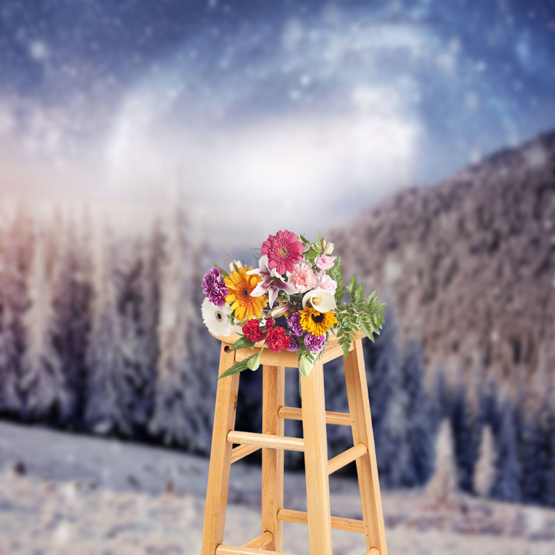 Aperturee - Natural Winter Scene Photography Backdrop Photo Shoot