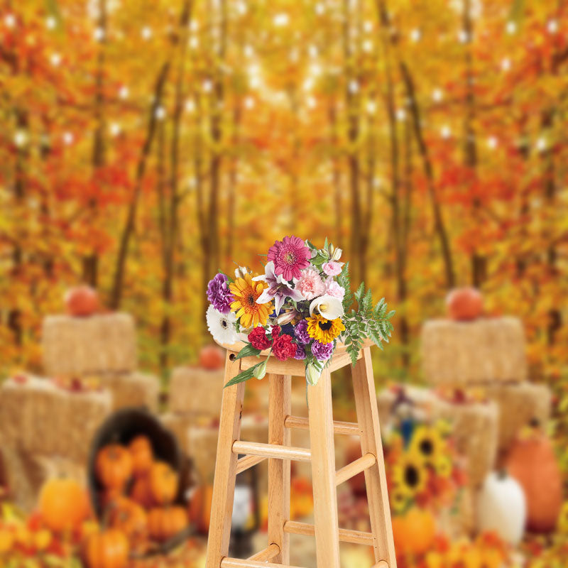 Aperturee - Haystack Pumpkin Autumn Woods Photography Backdrop