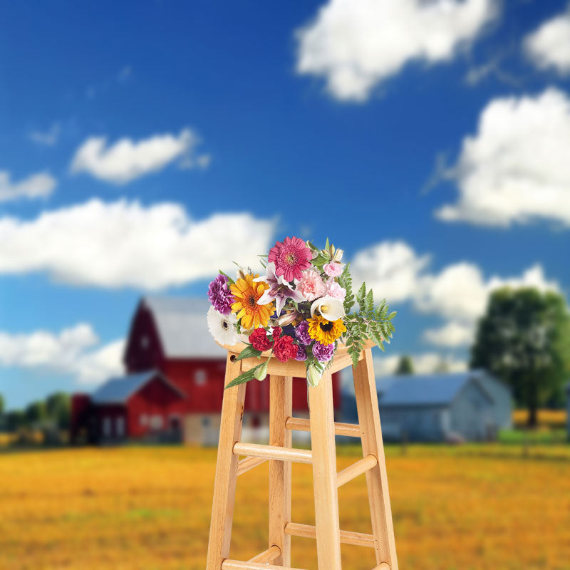 Aperturee - Farm Red House Blue Sky Grass Outdoor Photo Backdrop