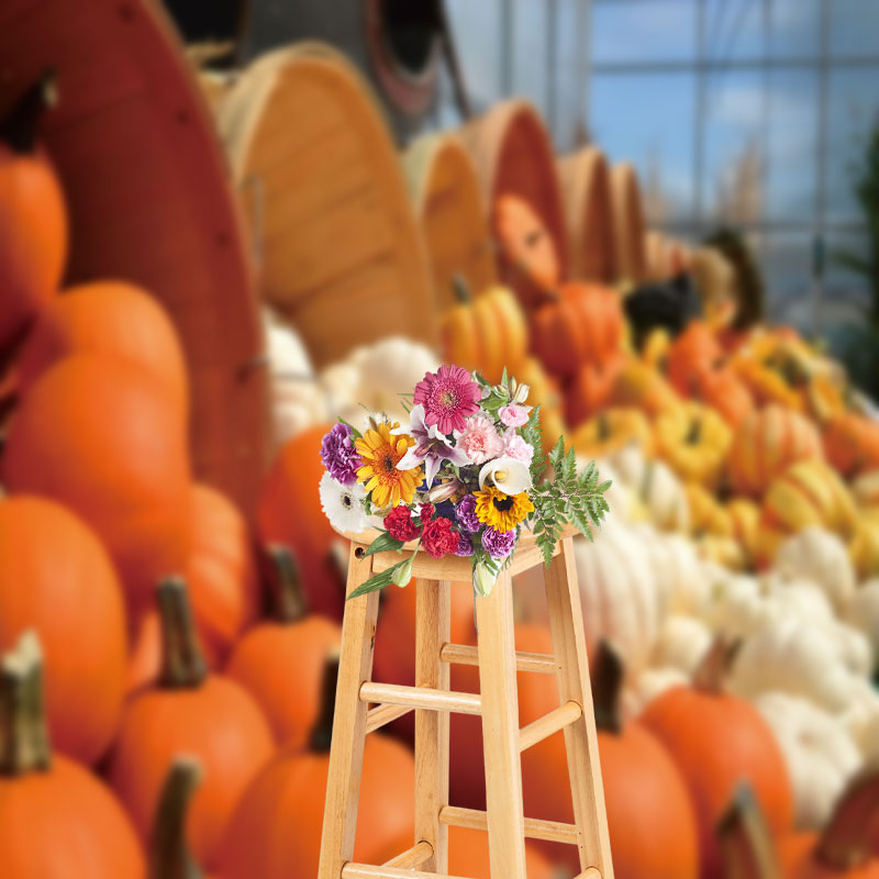 Aperturee - Many Kinds Of Pumpkins Dumped On The Ground Backdrop