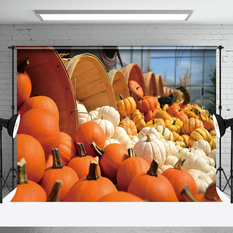 Aperturee - Many Kinds Of Pumpkins Dumped On The Ground Backdrop