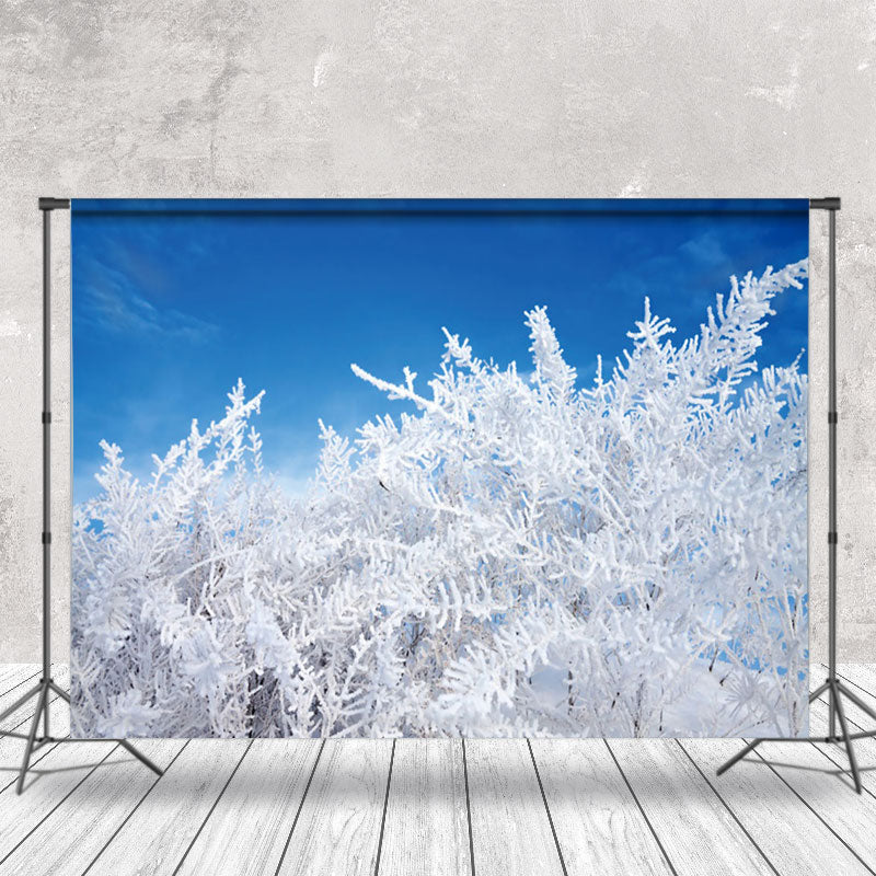 Aperturee - Cedar Snowflake Blue Sky Wonderland Winter Backdrop