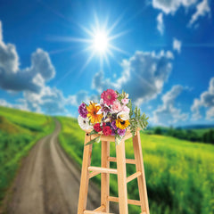 Aperturee - Country Road Sunshine Blue Sky Spring Backdrop