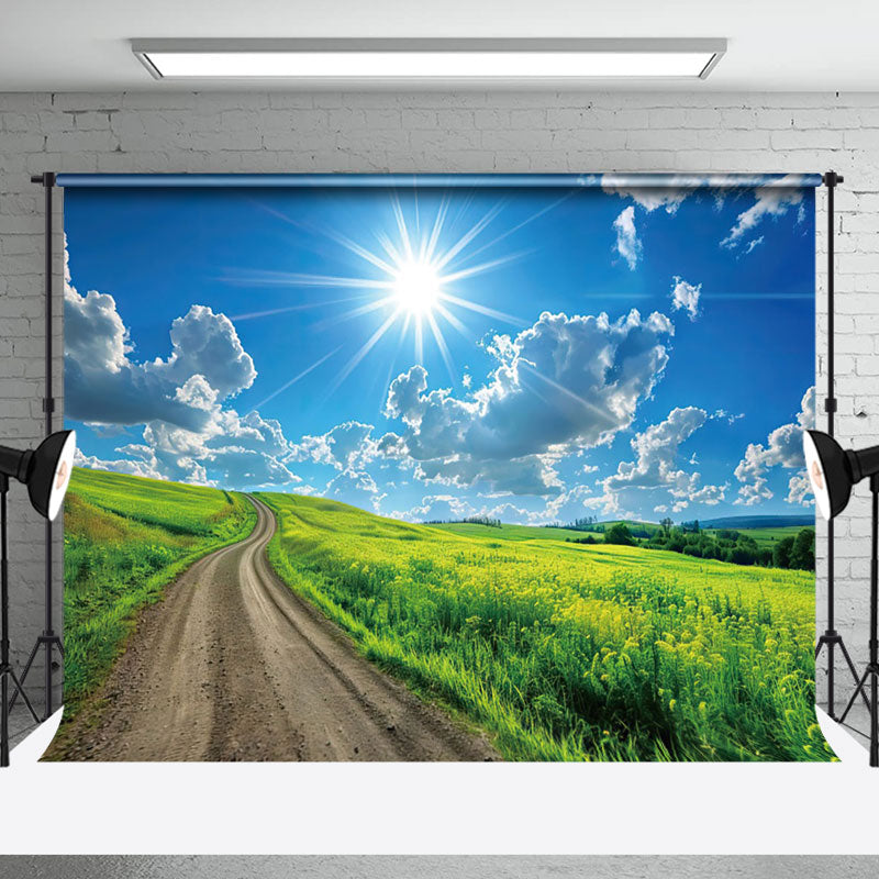 Aperturee - Country Road Sunshine Blue Sky Spring Backdrop