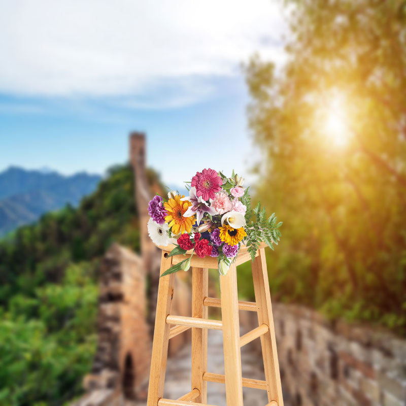 Aperturee - China Great Wall Natural Landscape Photo Backdrop