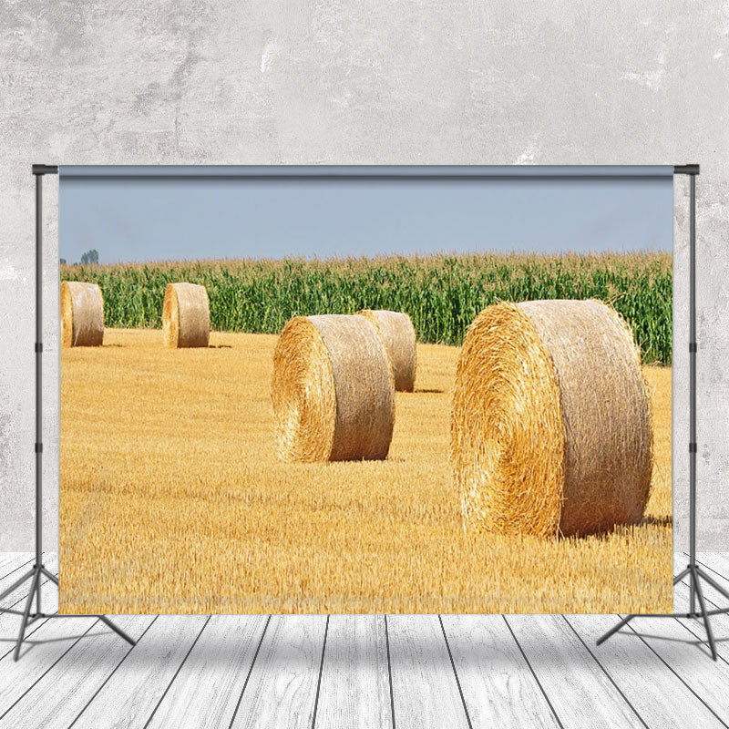 Aperturee - Harvest Valley Haystack Field Photography Backdrop