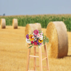 Aperturee - Harvest Valley Haystack Field Photography Backdrop