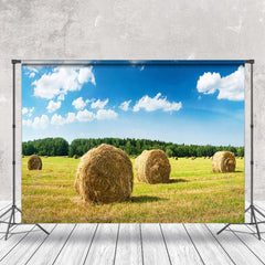 Aperturee - Valley Haystack Blue Sky Woods Photography Backdrop