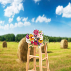 Aperturee - Valley Haystack Blue Sky Woods Photography Backdrop