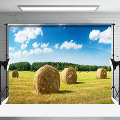 Aperturee - Valley Haystack Blue Sky Woods Photography Backdrop