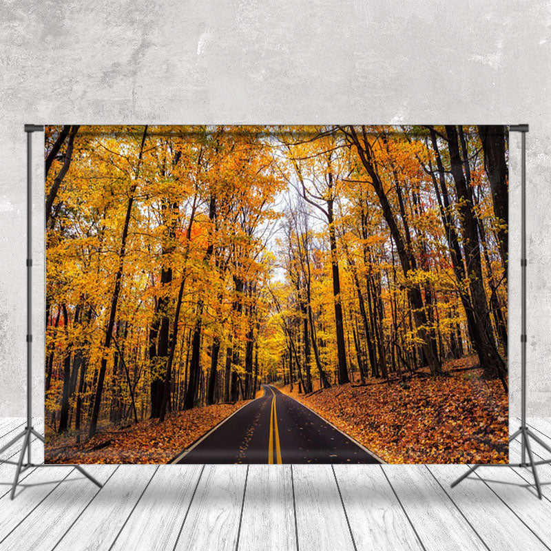 Aperturee - Autumn Asphalt Road Forest Photography Backdrop