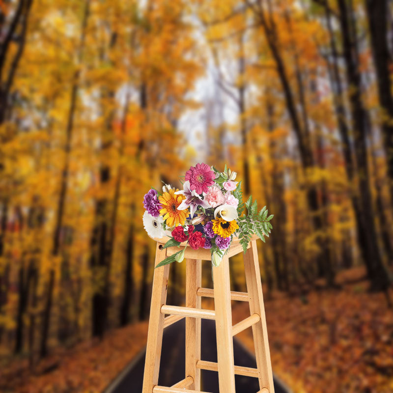 Aperturee - Autumn Asphalt Road Forest Photography Backdrop