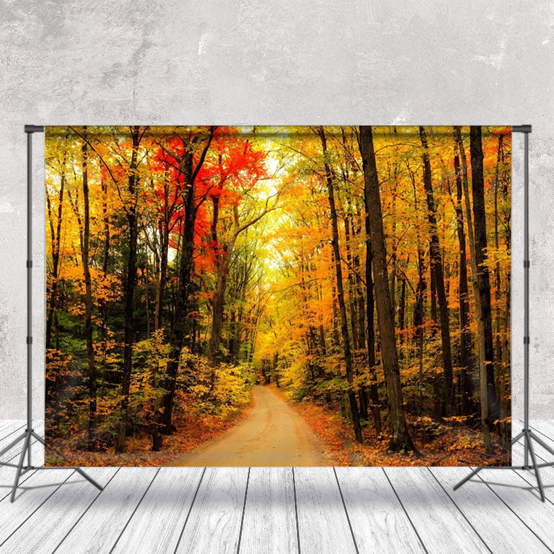 Aperturee - Beautiful Autumn Forest Scenery Photography Backdrop