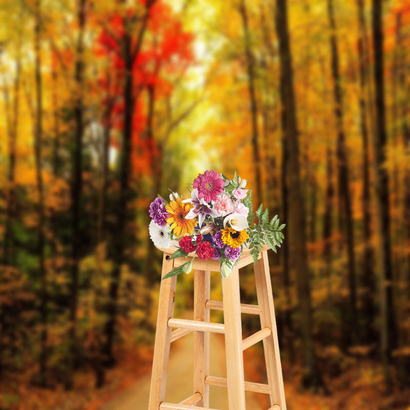 Aperturee - Beautiful Autumn Forest Scenery Photography Backdrop