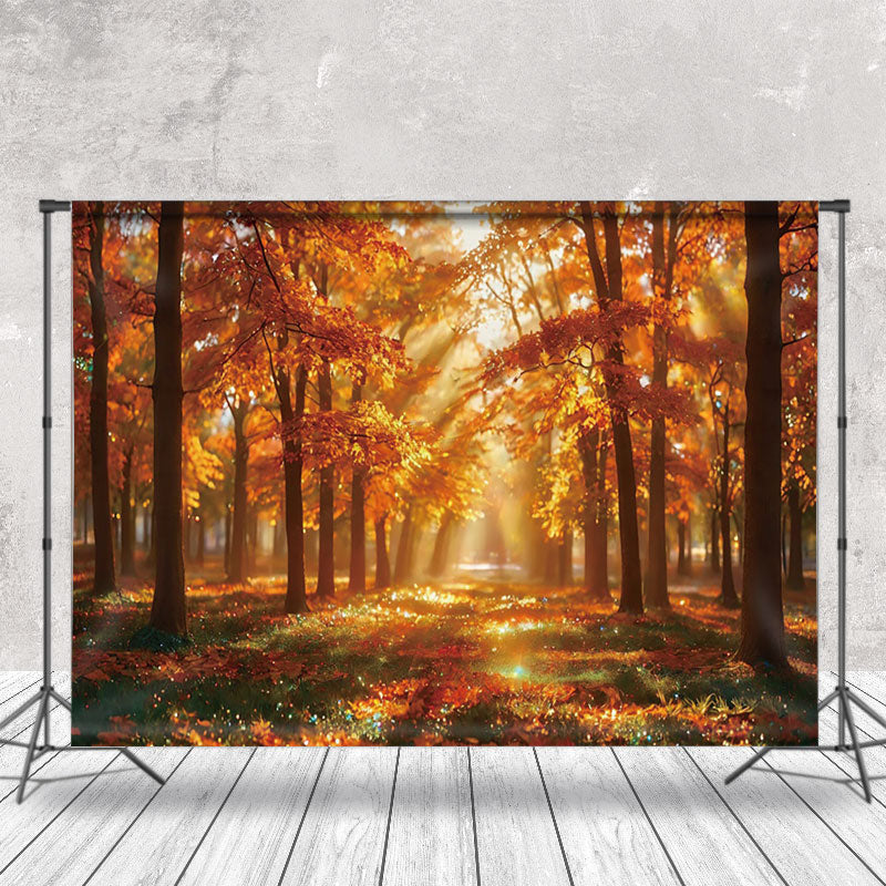 Aperturee - Forest Autumn Leaves Sunshine Photo Backdrop