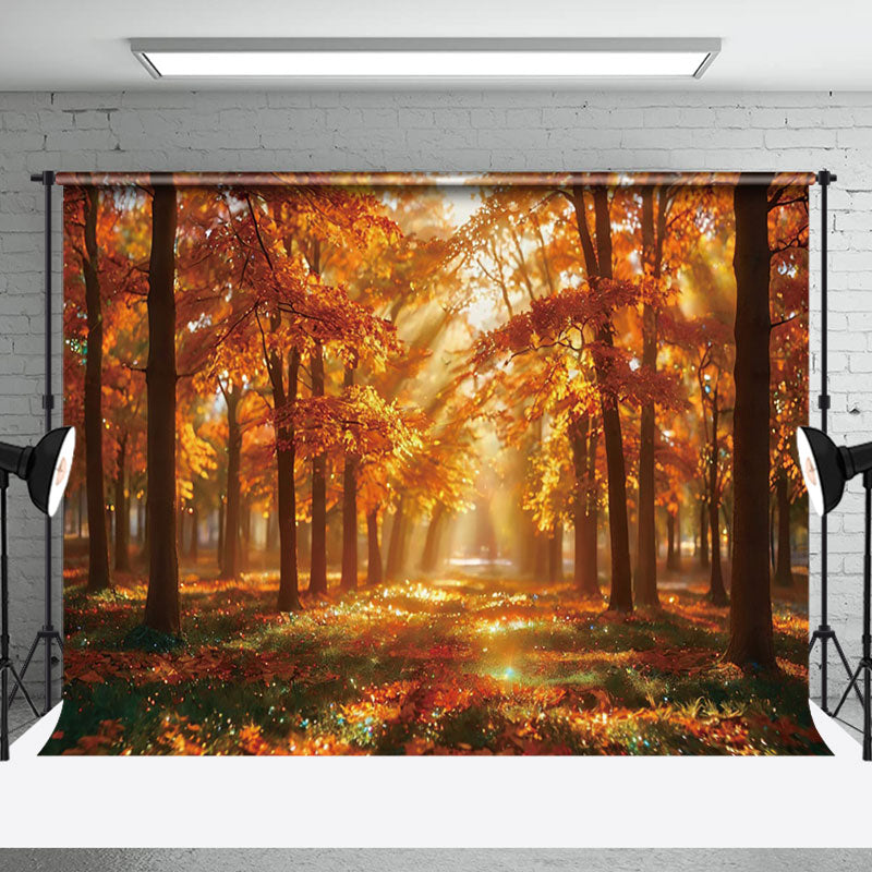 Aperturee - Forest Autumn Leaves Sunshine Photo Backdrop