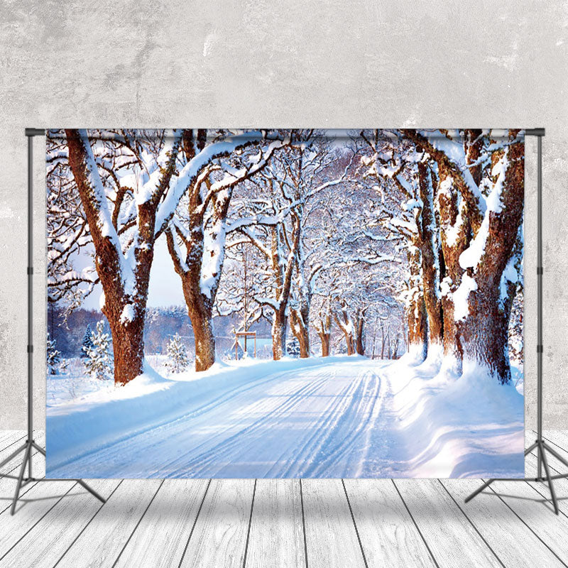 Aperturee - Aperturee Romantic Snow Scene Boulevard Trees Winter Backdrop