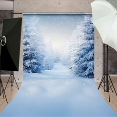 Aperturee - Aperturee Tranquil Winter Wonderland Snowy Footpath Backdrop