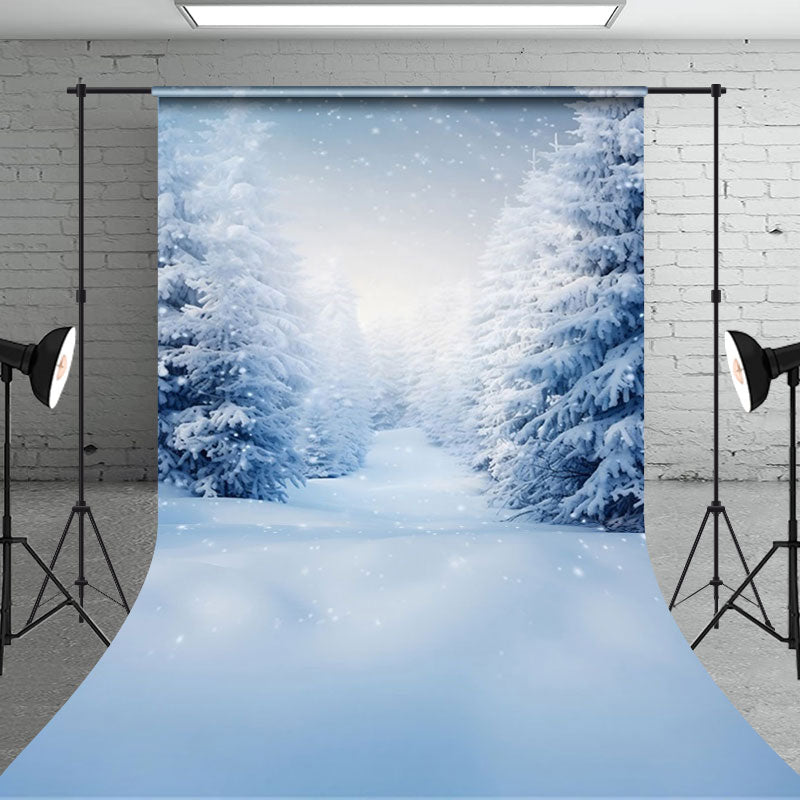 Aperturee - Aperturee Tranquil Winter Wonderland Snowy Footpath Backdrop