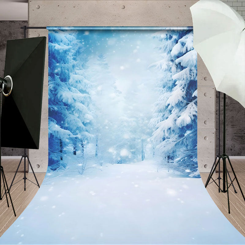 Aperturee - Aperturee Ethereal Winter Snowscape Mystic Forest Backdrop