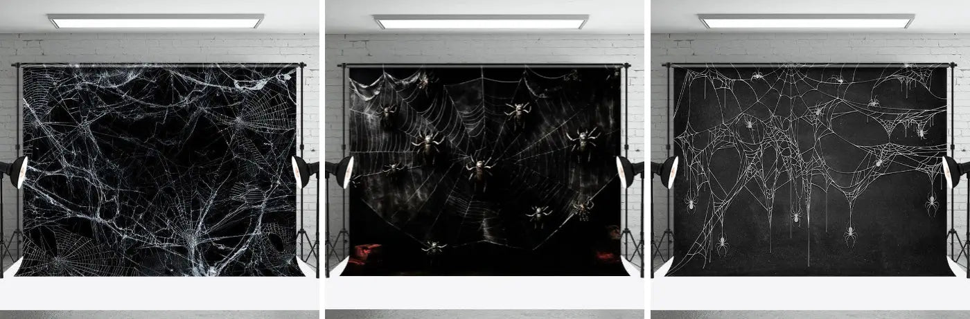 Shabby Black White Spider Web Halloween Backdrop - Aperturee