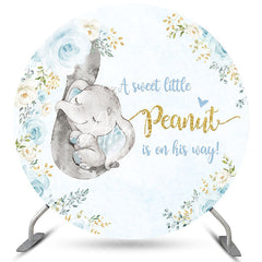 Aperturee A Little Peanut Is On His Way Round Baby Shower Backdrop