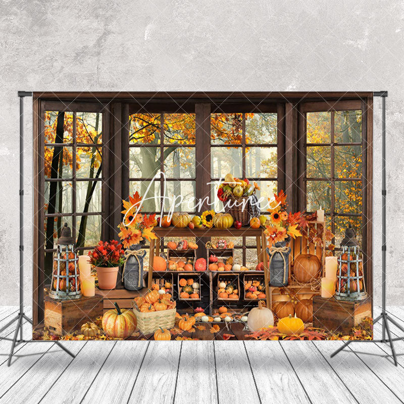 Aperturee - Aperturee Autumn Harvest Window Maple Forest Pumpkins Backdrop