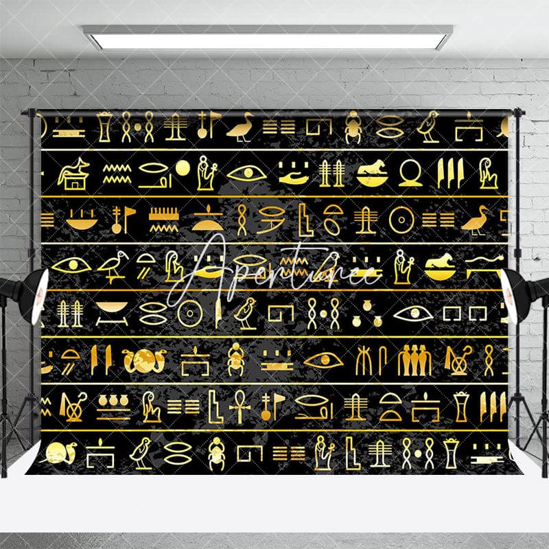 Aperturee - Aperturee Black Gold Egyptian Hieroglyphs Photography Backdrop