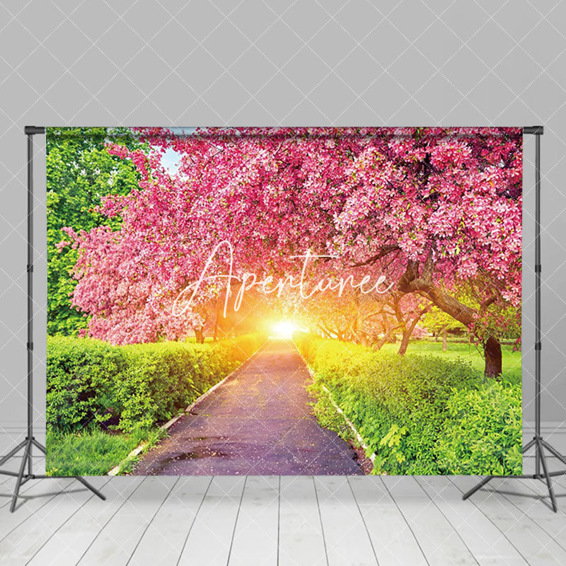 Aperturee - Aperturee Blossoming Pink Garden Path Sunlit Spring Backdrop