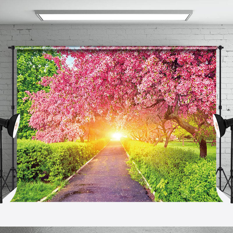 Aperturee - Aperturee Blossoming Pink Garden Path Sunlit Spring Backdrop